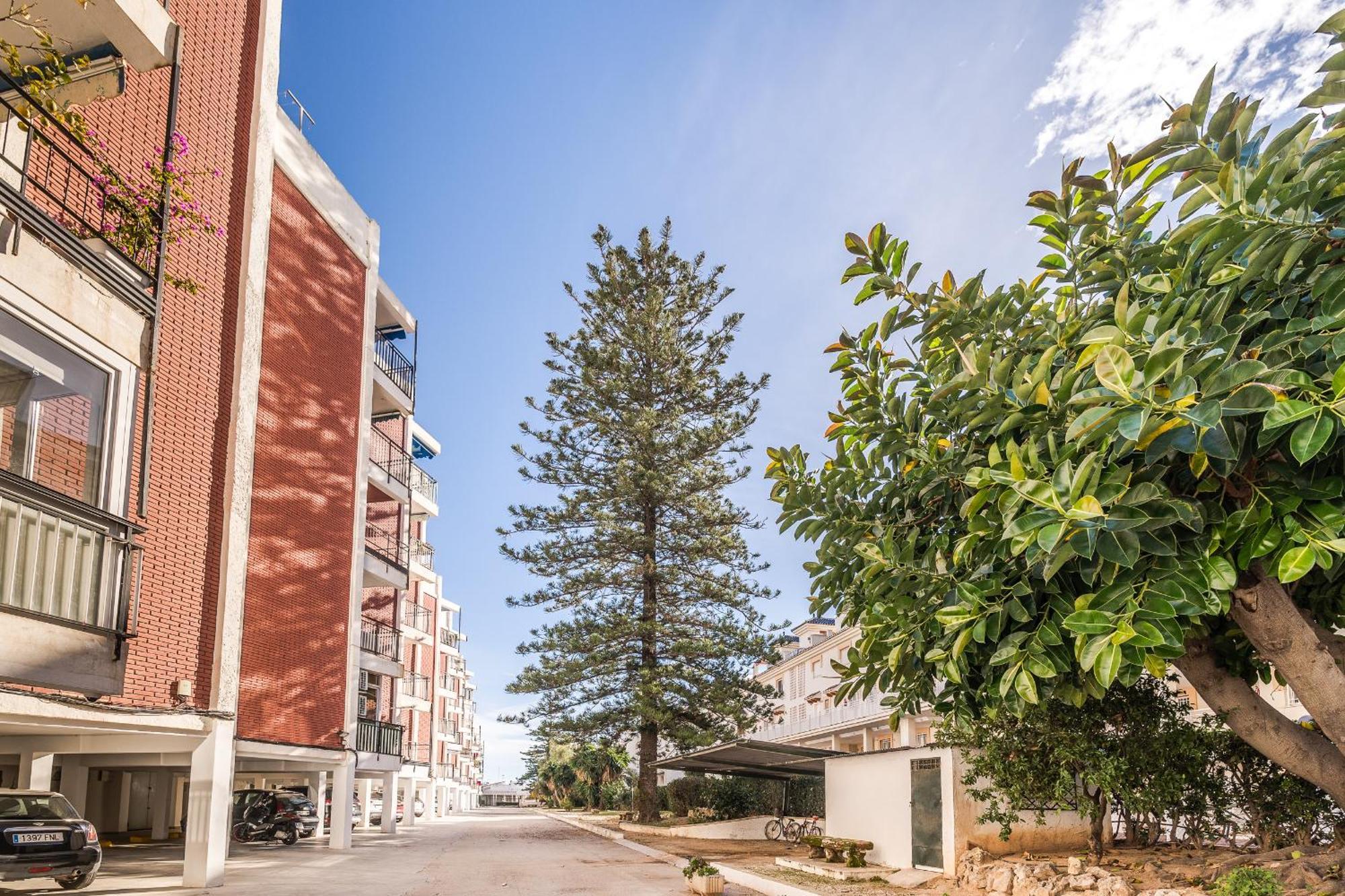 Apartamento Magico Javea Arenal Dış mekan fotoğraf